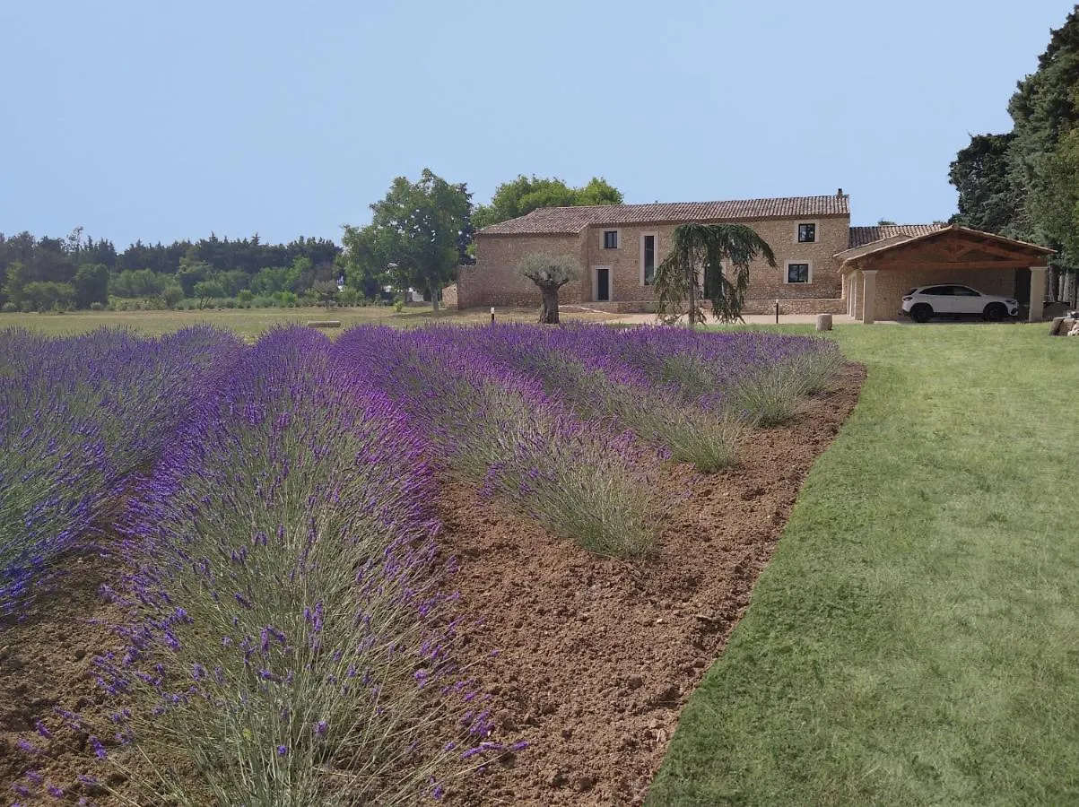 Mas Des Fugueyrolles Bed & Breakfast Cavaillon